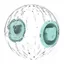 C Boule Hamster 15cm Transparent Plastique Hamster Exercice Ball pour Petits Animaux Hamster Gerbille Cochon d'Inde Run About Ball