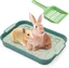 Bac à litière pour lapin bac à litière pour lapin petit animal lapin cochon dInde (petit vert)