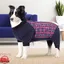 FYDUN combinaison de récupération pour grand chien Combinaison de récupération pour chien extensible animalerie carde