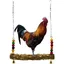 Balançoire en bois pour poules et oiseaux – jouet avec perchoir pour poulailler perroquets ara perruches. Label