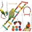 Jouets PrimePets pour perruches - Balançoires hamacs colorés avec cloches et échelles descalade pour calopsittes Label