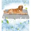 Tapis Rafraîchissant 75x100 cm pour Chien & Chat – Auto-refroidissant Durable Respirant