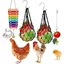 POULAILLER Accessoires Jouets pour Poules : Lot de 4 Xylophones, Porte-Fruits et Mangeoires Suspendues
