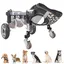 Fauteuil roulant réglable à 4 roues avant et arrière pour chiens de petite moyenne et grande taille pour blessures paralysées-XS
