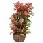 Décoration d'aquarium Hobby Flora Stone 4