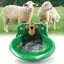 Abreuvoir automatique moutons bovins distributeur eau grande capacité plastique haute qualité usage professionnel