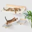 YIPEEMA. Lit mural pour chat avec cadre descalade et de saut 3 pièces 61 x 40 x 15 cm blanc.