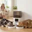 Distributeur Croquettes Chat Automatique 2 Animaux 6L Double Bol Inox WiFi Tuya App ABS 37x36x35cm Blanc