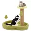 Arbre à Chat 42cm COSTWAY, Lit pour Chat sur le Thème de l'avocat, Perchoir, Jouet à Ressort, Poteaux à Gratter, Base Antidérapante