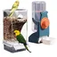 Ensemble Distributeur DEau et Mangeoire pour Oiseaux Mangeoire Automatique pour Perroquets Accessoires pour Cage Récipient pour