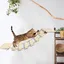 Pont mural pour chat - Pont de suspension - Échelle pour chat - Jouets d'escalade pour chat 32.5*15.5*85cm-XJING