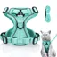 Harnais pour Chat - Anti-éclatement - Réglable - Vert Menthe - Taille S (Poitrine : 34-40cm Longueur : 15 m)