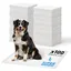 Iris Ohyama Tapis déducation et dressage pour chiens et chiots de 5 kg maximum - Pet Pad - NS-100W Blanc