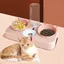 Gamelle Chat 3 en 1 Inclinable, Distributeur d'Eau Automatique, Protection Cou