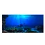 SALALIS Affiche pour aquarium Affiche de fond dadhésif SeaWorld pour la décoration du réservoir animalerie decoration 122*50 cm