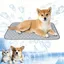 Tapis rafraîchissant auto-activé pour chien/chat – 70x55 cm idéal maison & voyage – Gris