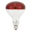 Lampe chauffante infrarouge pour poussins ampoule rouge pour couveuse 220 V/250 W