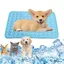 Tapis rafraîchissant pour animal de compagnie coussin rafraîchissant dété  tapis rafraîchissant auto-rafraîchissant 62 x 50