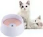Gamelle pour animaux de compagnie, gamelle anti-débordement pour chiens et chats, gamelle pour chien, pas d'éclaboussures, pas de