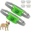 Collier antiparasitaire naturel pour chiens - Ingrédients 100% naturels - Protection durable - vert