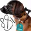 Lot de 8 laisses plates anti-traction pour chien - Réfléchissantes avec support de nez rembourré (180 cm) 180cm LAISSE