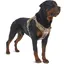 Harnais pour chien grand - MHY® - Sans traction - Réglable - Réfléchissant - Nylon durable - Système Molle