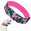Collier tactique pour chien - Collier militaire pour chien en nylon souple et réglable avec anneau en D (M camouflage violet)