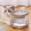 Kotezu Fontaine à Eau pour Chat sans Fil 5000mA Batterie Rechargeable Détecteur de Mouvement Ultra-Silencieux 2L FONTAINE A EAU