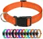 Colliers réfléchissants en nylon pour chien, collier classique réglable avec boucle à dégagement rapide,orange(M 2,5 cm/35-50 cm)