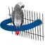 1 perchoir à surface rugueuse pour perroquet - Perchoirs en sable de quartz pour cage à oiseaux de taille moyenne à gran Étiquette