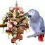 Jouets en Blocs de Bois Multicolores Naturels pour Perroquets Gris dAfrique et Amazones .