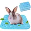 Lot de 2 lits dété avec tapis rafraîchissant pour cobayes et lapins