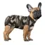 Combinaison de récupération pour chien ou chat, tenue post-chirurgie confortable, prévient le léchage et les infections
