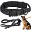 Collier de Chien - LARGEIGHT - Tactique Réglable - Nylon Haute Résistance - Boucle en Métal - Noir