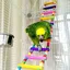 Jouets pour Oiseaux pour Perroquet, échelle, balançoire, Dressage Pont Arc-en-Ciel pour perroquets, perruches, Conures, cokatoo