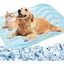 Tapis rafraîchissant pour chien/chat 55x70cm – Effet frais instantané idéal été