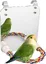 Miroir à oiseaux de 17,8 cm avec perchoir en corde pour cage perroquet, balançoire, jouets pour perroquet