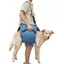 (XL Bleu)Harnais de Transport pour Chien Sac à Dos durgence pour Animaux de Compagnie Harnais de Levage pour Chien pour Coup