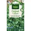 Cerfeuil commun - VILMORIN - Plante aromatique - Parfum subtil et délicat - Fines herbes
