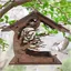 Mangeoire oiseaux en bois pour extrieurdistributeur suspendu impermable pour oiseaux sauvages PZCC