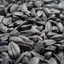 Graines de tournesol noires 25 kg