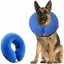 bleu Collier Gonflable de Rcupration Confortable Collerette de Protection pour Chien couleurs multiples ABRI DE JARDIN