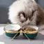 Gamelle double en céramique pour chat/chien sur support alimentaire 2 x 300 ml