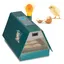 Cecaylie Couveuse Automatique Incubateur Couveuse pour 10 Oeufs COUVEUSE - INCUBATEUR