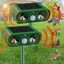 Repulsif Chat Exterieur Solaire Pack de 2 Répulsif Chat Ultrason Repousse efficacement Les Chats Les Oiseaux et Les rongeurs.