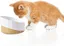 Gamelle surélevée décorative/antidérapante/anti-vomissement pour chat et chien, distributeur de nourriture sèche pour chat