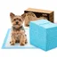 Nobleza 100 Pièces Alaise Jetable pour Chien et Chiot 40x60cm Tapis Pipi pour Chien