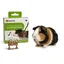 Laisse et harnais pour chat Flamingo Art