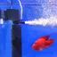 Aquarium3 En 1 Purificateur d’eau d’aération silencieuse Pompe interne Submersible Aquarium Filtre Pompe à oxygène [F330456065]