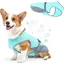 Gilet Rafraîchissant pour Chien Protection UV et Tissu Respirant Corgi et Bouledogue - Bleu Taille M